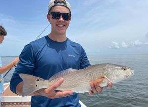 Redfish Spotted in Fort Myers FL